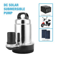 Pompe submersible à vis basse pression DC Solar, personnalisable OEM