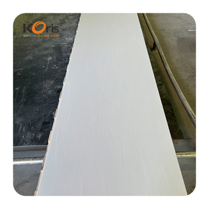 Hi Macs chất lượng hàng đầu 3660*760mm Acrylic bề mặt rắn cho nhà bếp worktop - Product Image 1