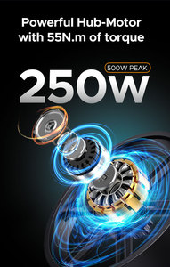 Bicicleta Plegable ENGWE Engine X con Llantas Gruesas de 20*4.0 Pulgadas, Motor de 250W, Batería de 48V 13Ah, Velocidad de 25Km/h, Bicicleta ENGINE X - Product Image 2