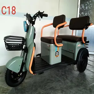 C18 600 Watts Factory Custom Wholesale High Quality New Energy Passenger Electric Tricycles