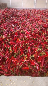 Macchina automatica per essiccare il peperoncino rosso ad alta efficienza S17 S19 - Product Image 2