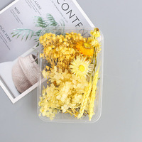 Boîte en plastique Mini Bougie Séchée Conservée Faisant Fleur Petites Fleurs Séchées pour Résine Nouvel An Chinois Sac Carton 100 50g 13*18cm