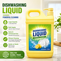 Liquide vaisselle ménager jetable OEM écologique, antibactérien, multi-usages, formule sûre, parfum citron gingembre