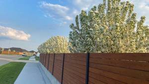 <span class=keywords><strong>WPC</strong></span> hàng rào cho vườn ngoài trời <span class=keywords><strong>WPC</strong></span> Panel tường mặt trời Ngăn chặn UV Gỗ nhựa <span class=keywords><strong>composite</strong></span> decking ngoài trời Mặt tiền - Product Image 6