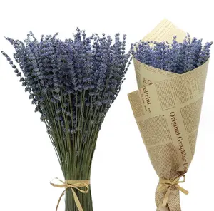 Wholesale Greenery Dried Flowers Dried Lavender Branches For Wedding Decor