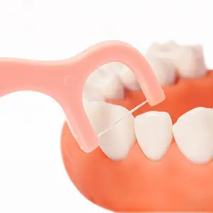 कस्टम लोगो में उठाता 60 बॉक्स पर्यावरण के अनुकूल के लिए मौखिक देखभाल दांत छड़ी प्लास्टिक दंर्तखोदनी दंत सोता उठाता बच्चों