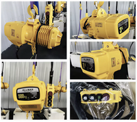 Palans électriques à chaîne certifiés CE ALLMAN, 1 tonne, 220V, 380V, 3P, indice de protection IP54, pour la levée de charges lourdes, grue de levage, palan électrique