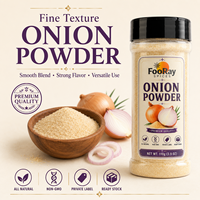 Poudre d'oignon déshydratée à texture fine, mélange d'épices lisse pour assaisonnements et sauces