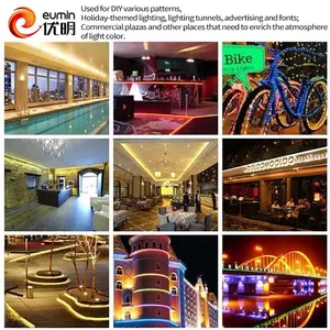 Wholesale Decoration Customized China Factory RGB CE RoHS LED Neon Light