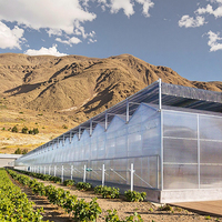 Panneau de toiture en polycarbonate, serre en acier de luxe, tôle en acier PC multi-voûtes, serres agricoles de grande taille pour jardin