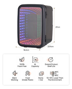 4L портативный мини-холодильник прозрачная дверь для хранения красоты небольшой холодильник для наружного - Product Image 2