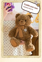 Peluche Ours en Peluche Mignon, Poupée Douce Rembourrée, Oreiller de Sommeil, Cadeau d'Anniversaire, Vente en Gros