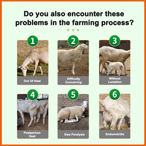 Chăn Nuôi Dê cừu tăng trưởng nhanh chóng bổ sung vitamin tổng hợp 4% premix - Product Image 2