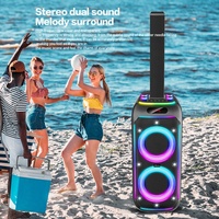 Enceinte portable sur chariot à batterie haute puissance, enceinte karaoké avec lumière LED RGB, microphones, système audio