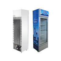 200L Vertical Porte En Verre De Refroidissement Statique Affichage Refroidisseur Boisson Bière Fleur Commercial
