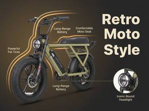 Vélo électrique à pneus larges 20 pouces 750W 48V, style cyclomoteur rétro, vélo électrique adulte deux places, suspension tout-terrain - Product Image 4