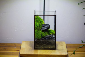 Étanche Fermer Géométrique Verre Étain Terrarium Ventouse Étang Maison <span class=keywords><strong>Jardin</strong></span> Mur Utilisation Kit <span class=keywords><strong>Mousse</strong></span> D'eau Paysage Plante Décoration - Product Image 6