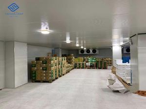 Chambre froide modulaire de viande et pièce de congélateur avec des machines de réfrigération pour le poulet et le poisson - Product Image 5