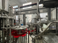 Solution complète de machines de remplissage et d'embouteillage de bouteilles PET pour boissons, petite et grande capacité, usine de production automatique de jus de fruits