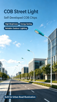 Lampe de rue LED COB à double tête étanche IP66, haute puissance, pour extérieur, autoroute, route