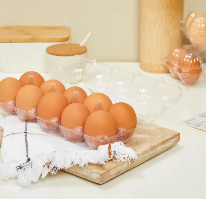Plastic Egg Cartons, Holds 1 Dozen , Bulk Pack of Reusable Egg Cartons for Chicken Eggs, Home Ranch