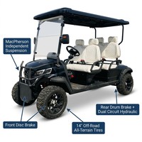 Voiturette de golf 4 places à essence 4 temps 300CC, refroidie par eau, frein à disque avant, frein à tambour arrière, capacité de montée de 25%, pour club de golf
