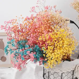 Ramo <span class=keywords><strong>de</strong></span> 120g <span class=keywords><strong>de</strong></span> Flores Secas <span class=keywords><strong>de</strong></span> Baby Breath Coloridas, Arreglo Floral <span class=keywords><strong>de</strong></span> Baby Breath con Tacto Real para Decoración <span class=keywords><strong>de</strong></span> Bodas y Hogar - Product Image 3