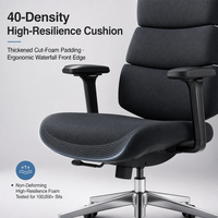Chaise de bureau ergonomique de direction à dossier haut en maille, avec accoudoirs 3D, appui-tête à 2 positions, chaise de travail pivotante pour bureau