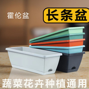 Hollen <b>Pot</b> <b>Rectangular</b> Plastic Planting Trough With Drainage Hole For Home <b>Flower</b> And Vegetable Gardening - Product Image 4