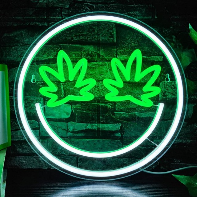 LED Neon Sign Dimmable 5V USB Acrylic Board IP65 Rating 2700K-6000K Color Temp Silicone Coated Creative Face Decorative Light