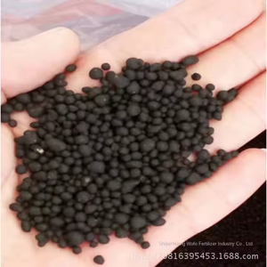 허베이 유기질 비료 공장 미생물 예방 접종제 과일산 칼륨 수용성 퇴비 도매 - Product Image 3