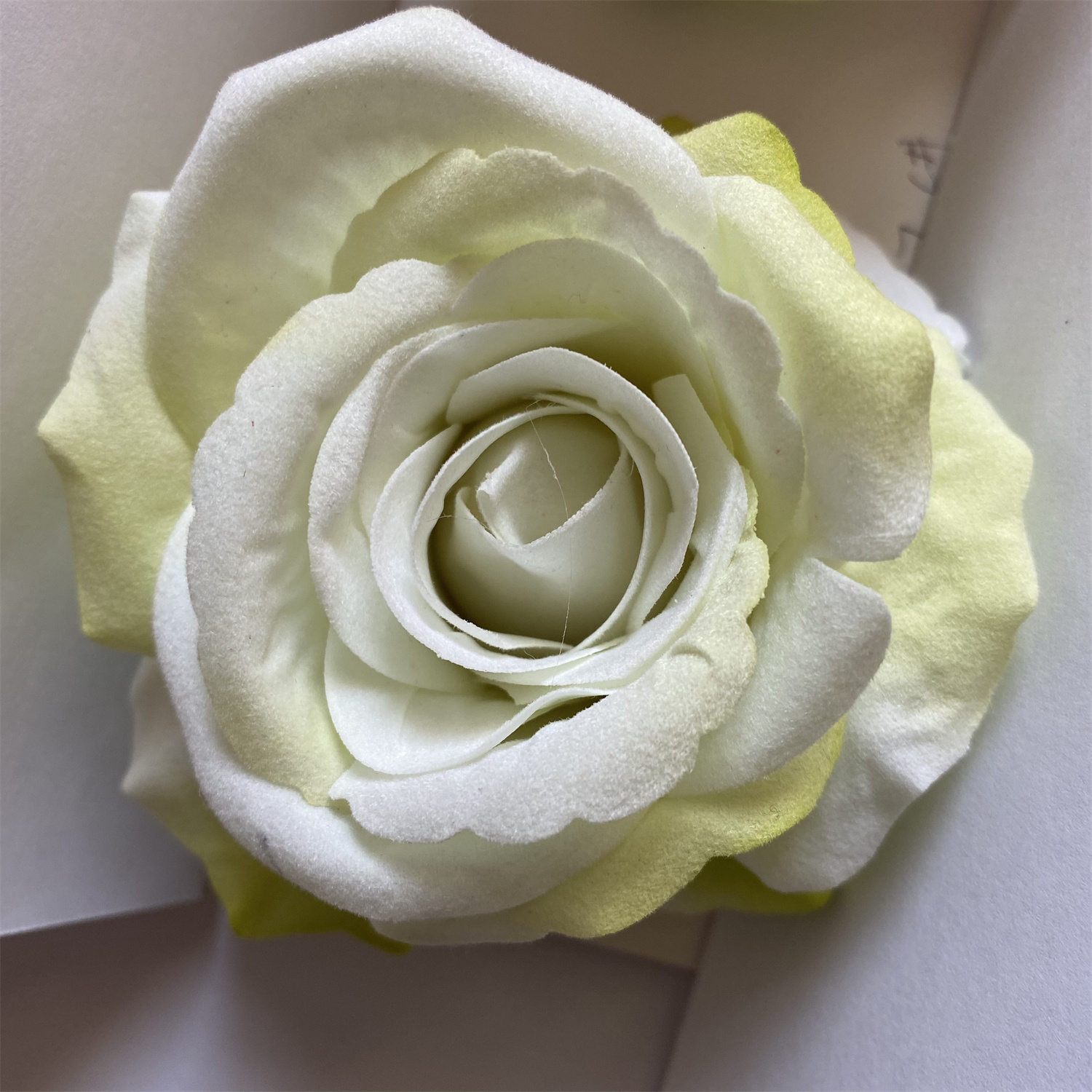 Light green