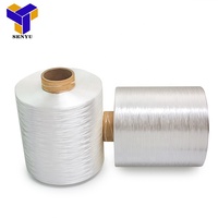 New Design Wholesale Fashion High Tenacity Nylon 6 Yarn