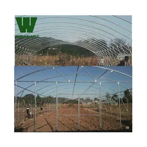 WIN HEART Strong greenhouse Frame Low lost commercial greenhouse structures