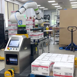 Robot Colaborativo de 6 Ejes para Paletización de Carga Pesada de 25 kg, Robot Paletizador para Manejo de Materiales - Product Image 2