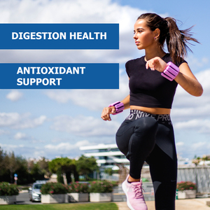 Meilleure vente Vegan Shilajit ginseng racine Ashwagandha extrait stimuler la vitalité de la peau fonction cérébrale Shilajit gouttes liquide - Product Image 6