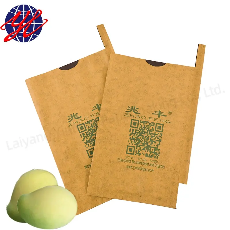 Bolsa de papel especial personalizada de doble capa para guardería, protección contra insectos y pájaros, níspero de frutas, melocotón, mango, cultivo