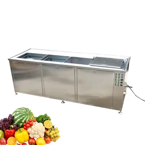 पेशेवर सब्जी और फल वॉशर बबल हैश मिर्च वॉशिंग मशीन रोटरी फल सब्जी वॉशिंग मशीन