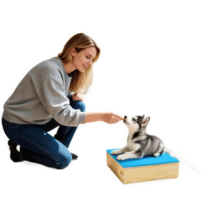Solid Wood Dog Training Platform 2-Piece Set With Non-Slip EVA <b>Mat</b> For <b>Large</b> And Small Dogs Agility Obstacle Equipment - Product Image 5
