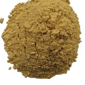 Air Dried Dehydrated Ginger Powder For Spices Powder Fines Ginger Tea
