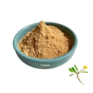 Hot Selling Chinese Herbal Extract Dandelion Root Extract Powder Dandelion Flavonoids