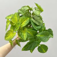 Plantes en pot décoratives artificielles de type Taro Guanyin et pomme verte avec fleurs mélangées pour aménagement mural
