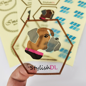 Fornitore di carta per adesivi per animali domestici testurizzati con cane Chihuahua rotondo <span class=keywords><strong>Pokemon</strong></span> con bottiglia di acqua lenticolare trasparente di stampa personalizzata di lusso - Product Image 4