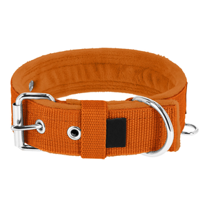 OEM <span class=keywords><strong>2</strong></span> pulgadas táctico perro <span class=keywords><strong>Collar</strong></span> acolchado <span class=keywords><strong>Martingale</strong></span> media Correa galgo collares Material de nailon remache personalizable impresión <span class=keywords><strong>Collar</strong></span> para mascotas - Product Image 1