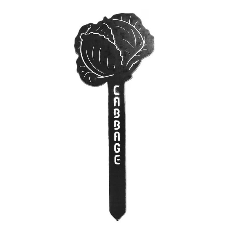 Black (Cabbage)