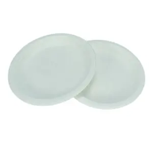 Disposable Eco-friendly 100% biodegradable Raw Material for Buffet New Year Party Sturdy Paper Plate