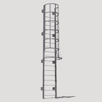 Cage de sécurité industrielle extérieure en aluminium pour chat, escabeau de conception verticale pour l'accès aux sorties de secours, usage domestique