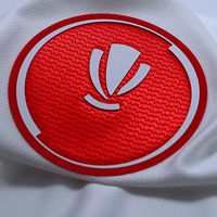 Écussons thermocollants personnalisés pour vêtements, logo 3D en relief, vinyle caoutchouté, flocage gonflé, tatami, étiquette en silicone à transfert thermique pour casquettes et textiles