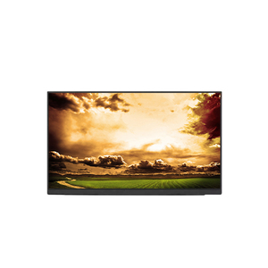 Original in stock LCD Module 14.0 inch 2560RGB*1600 WQXGA 215PPI NE140QDM-NY1 CHEAP LCD Display Screen for Laptop - Product Image 1
