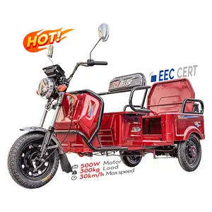 LB-GMZD Electric Tricycle 3 Wheel Motorcycle For Cargo From China Factory Cargo Tricycle